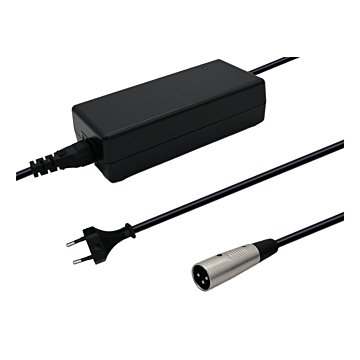 chargeur vélo électrique puissant